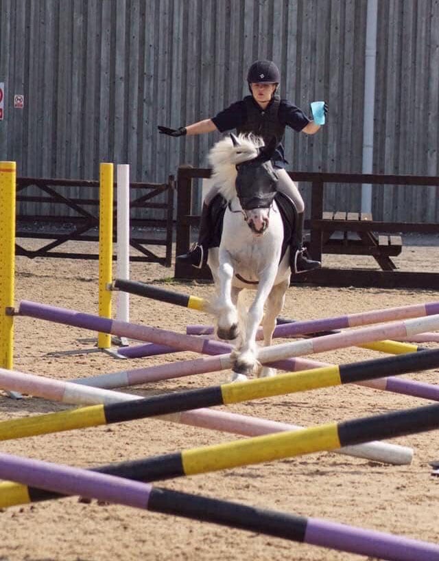 Ampfield Riding Stables lessons